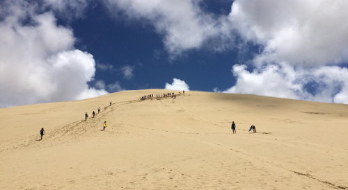 Sandboard Down the Niua Sand Dunes